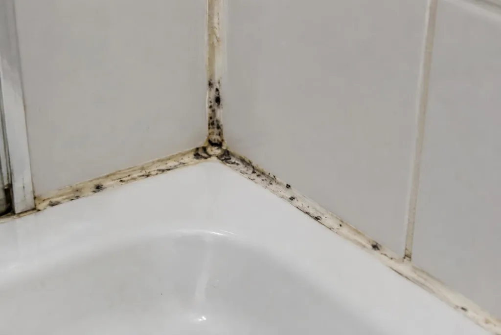 Kitbedrijf Leiderdorp – beschimmelde kitranden